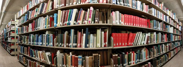 W.E.B. Du Bois Library