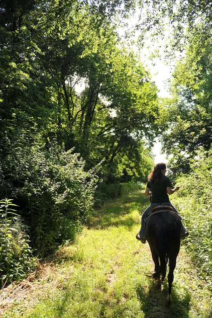 Millbrook Trail Rides - Rides by appointment only