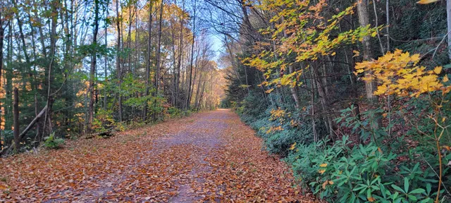 Great Allegheny Passage - Rockwood Trailhead