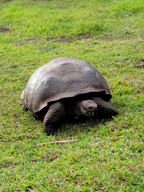 Parque Nacional Galápagos