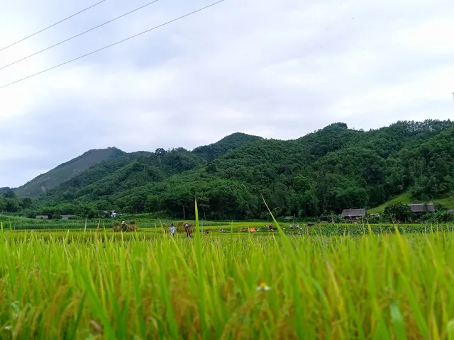 place image