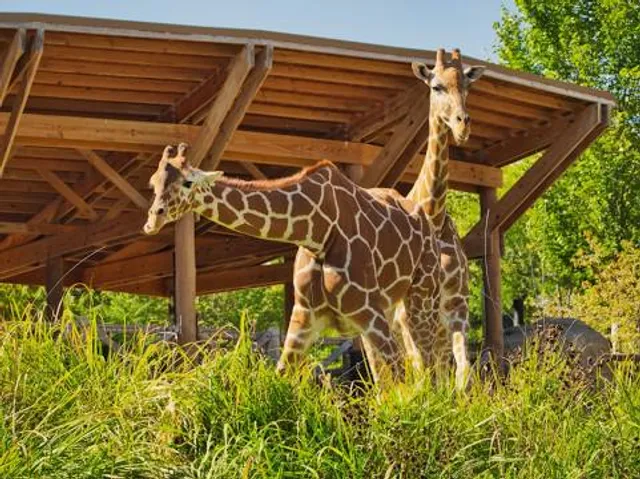 Omaha's Henry Doorly Zoo and Aquarium