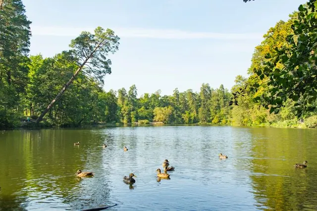 Municipal beach "Pushcha Voditsa"