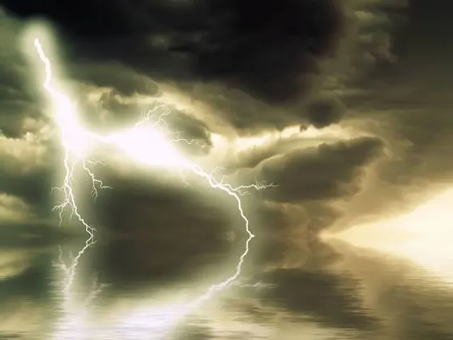 Woodland Experiences