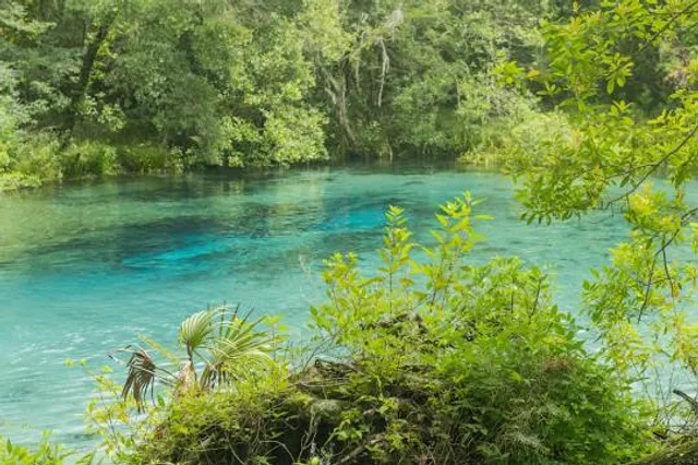 Ichetucknee Springs State Park