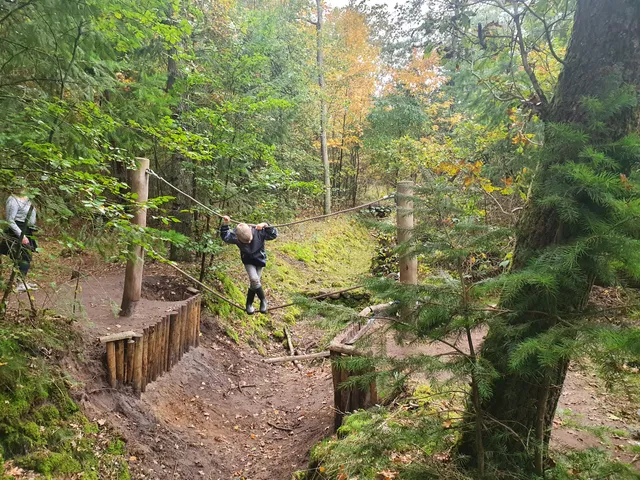 Sabeltandtijgerspoor