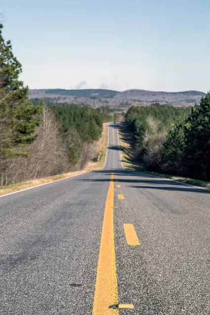 Talladega National Forest