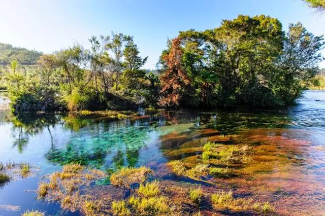 Te Waikoropupu Springs
