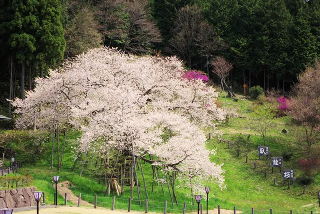 Sotoshudaido Temple