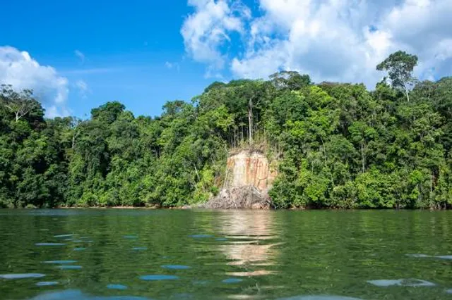 Floresta Nacional do Tapajós