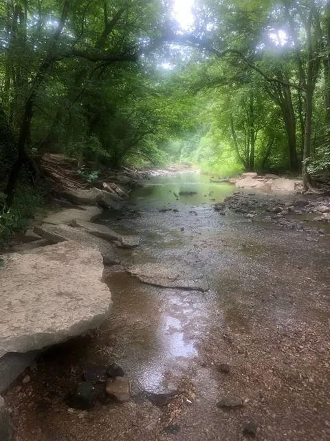 Waterfall Glen Forest Preserve