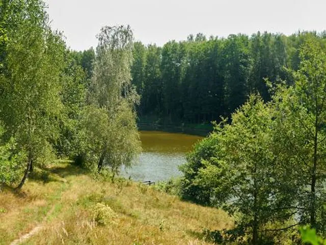 Blackhawk Springs Forest Preserve