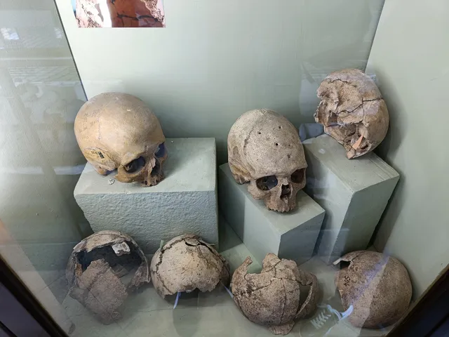 Collezione di Antropologia