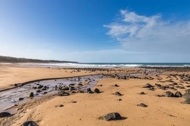 Mon Repos Walking Track