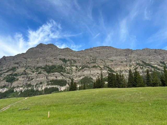 Yellowstone wolftracker