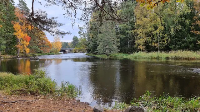 Färnebofjärden National Park