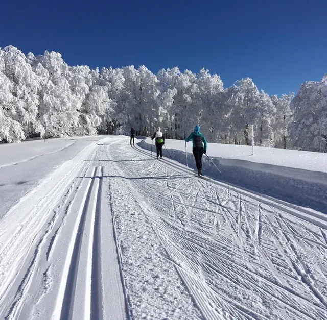 Abodi Ipar-eski Gunea