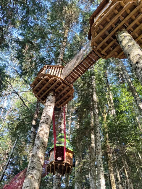 Le Pays Suspendu des Géants : filets suspendus dans les arbres