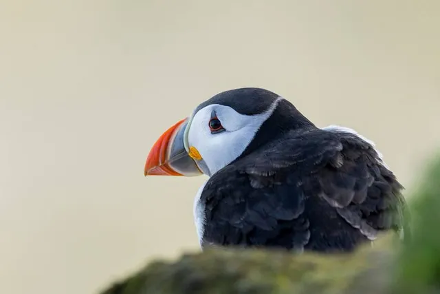 Primer Parque de Laureles
