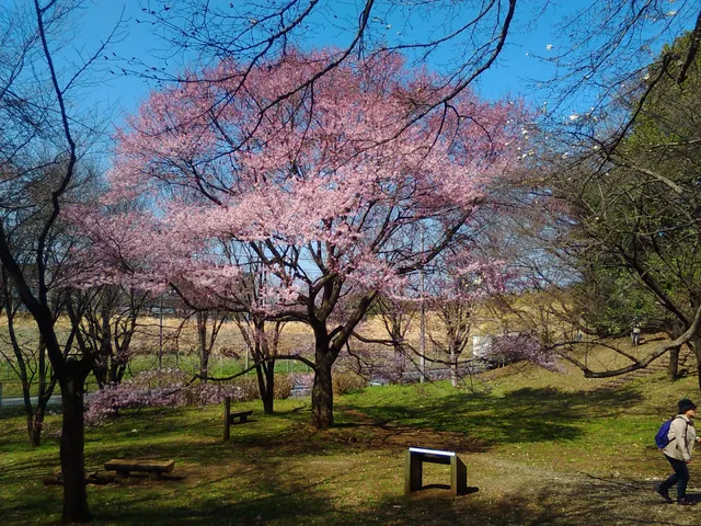 Tama Higashi Park