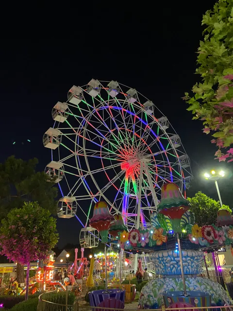 Central Park Attractions