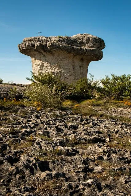 Rebolledo de la Torre