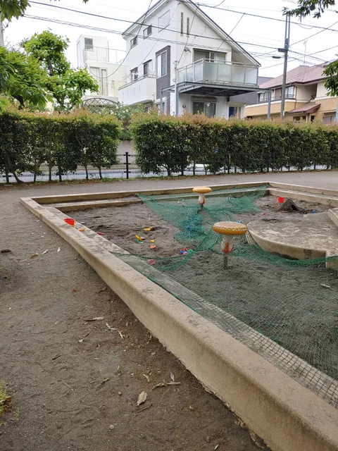 photo-3