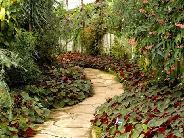 photo-1