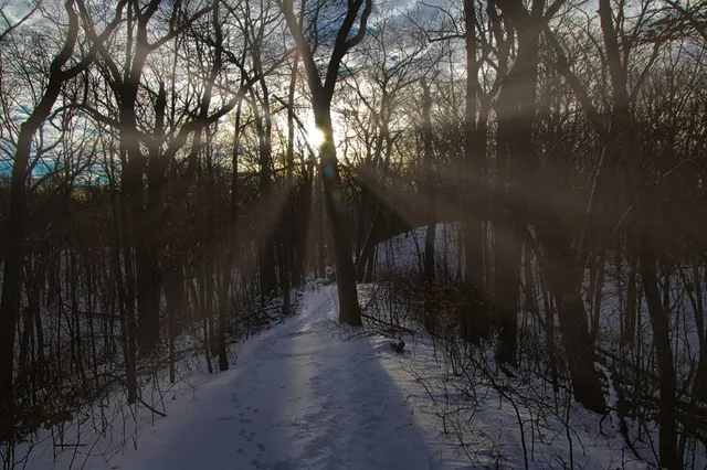 Park Pokrovskoe-Streshnevo