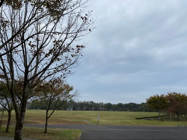 Suigo marsh region Ibaraki prefecture citizen forest.