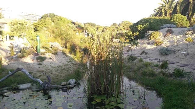 Tuin-op-die-Brak Botanical Garden