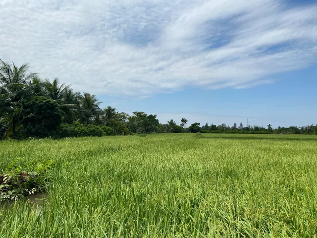 Que Yen Duc Village Tourism