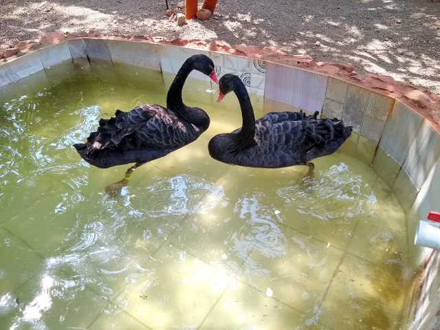 Nashik Bird Garden