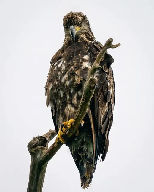 Whitewater Memorial State Park