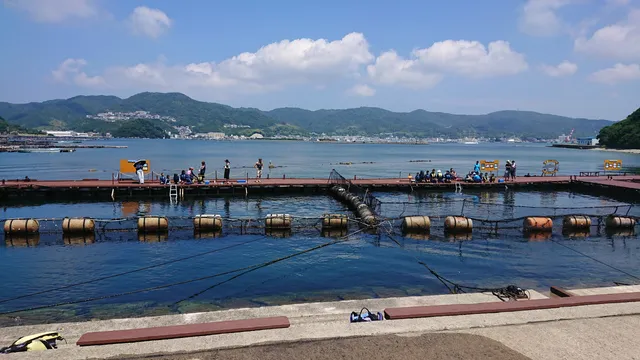 Janohire Dolphin Farm