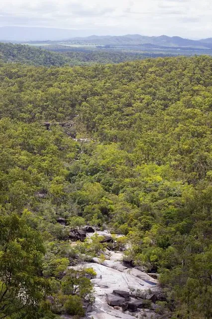 Dinden National Park (Recovery)