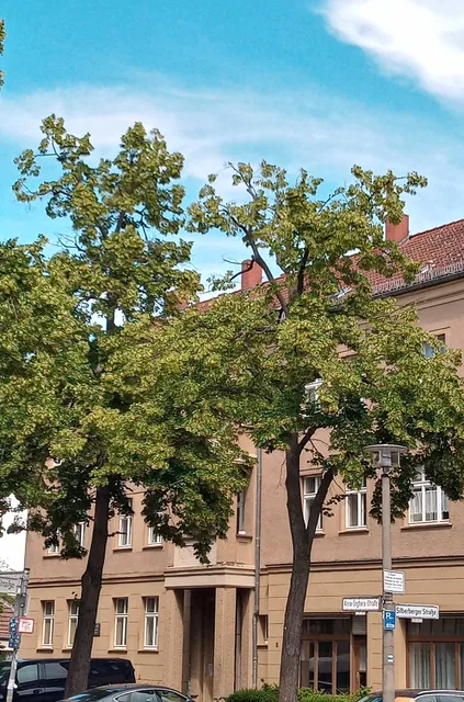 Anna Seghers Memorial