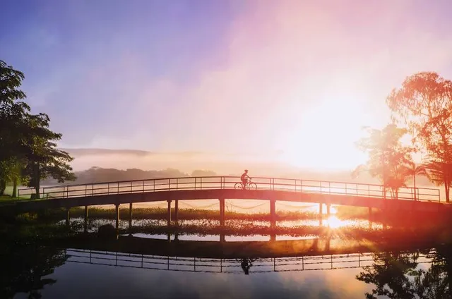 Parque Ecológico Prof. Hermógenes de Freitas Leitão