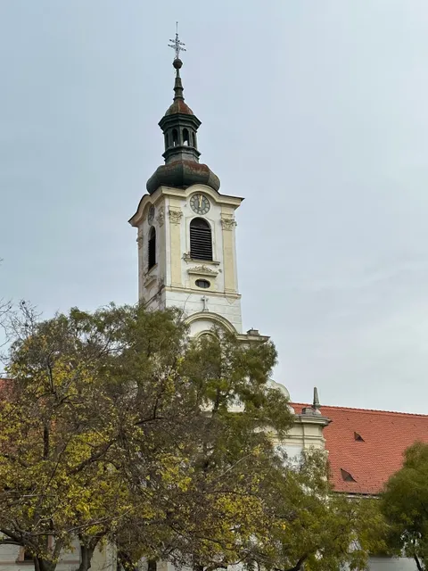 The Church of the Visitation of the Virgin Mary (Merciful Brothers)