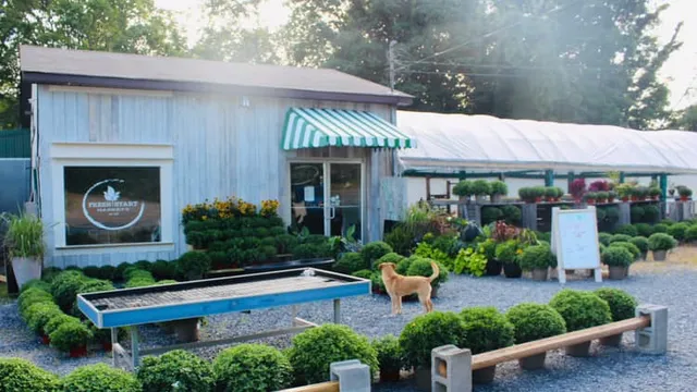 Fresh Start Market Co.