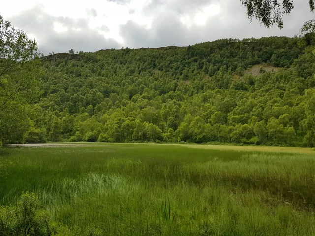 Craigellachie National Nature Reserve (Entrance)