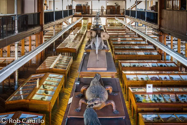 Wagner Free Institute of Science