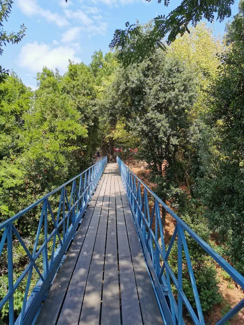 Passerelle Saint-Paul