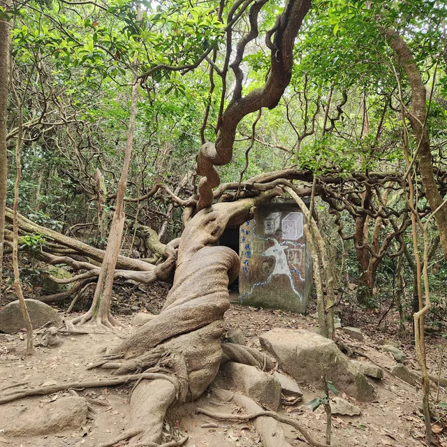 Mau Ping Ancient Trail (North)