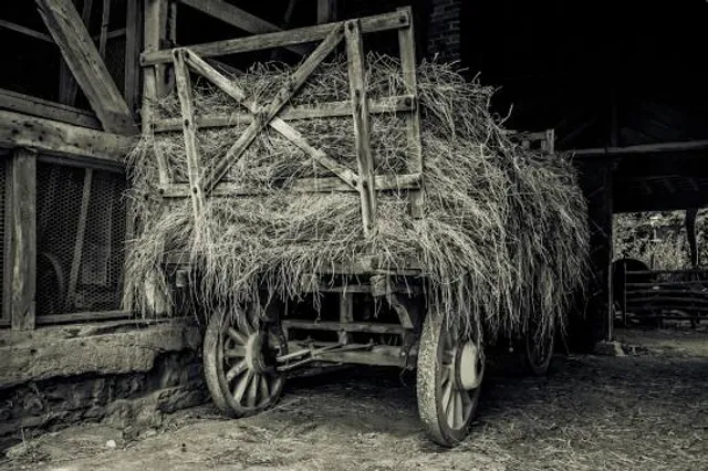 Acton Scott Heritage Farm
