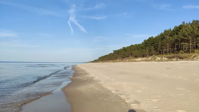 Mierzeja Wiślana. Park Krajobrazowy Pomorskiego Zespołu Parków Krajobrazowych