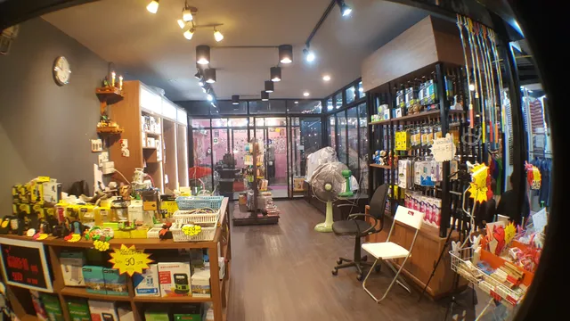photo-2