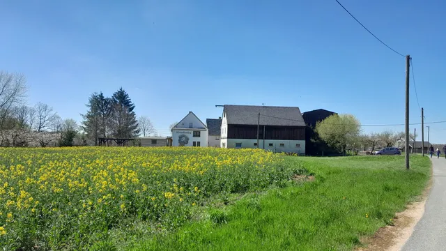 Striegistal - Pappendorf - Straußenfarm