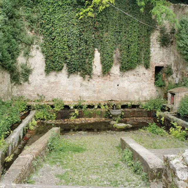 Fonte della Noce