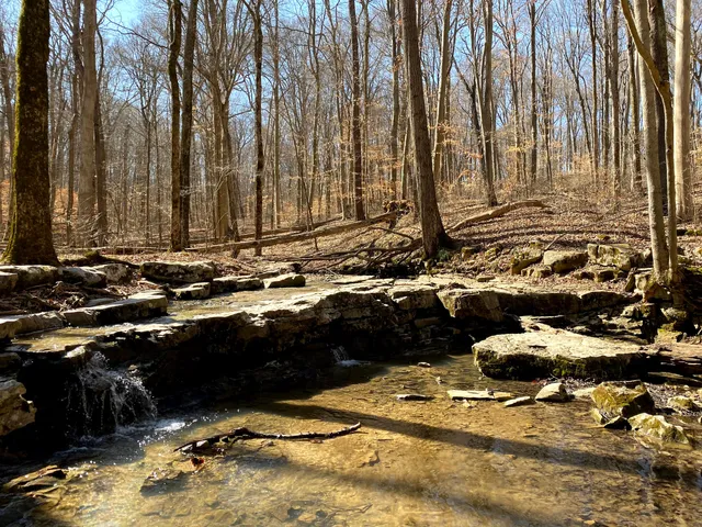 Wolf Cave Nature Preserve